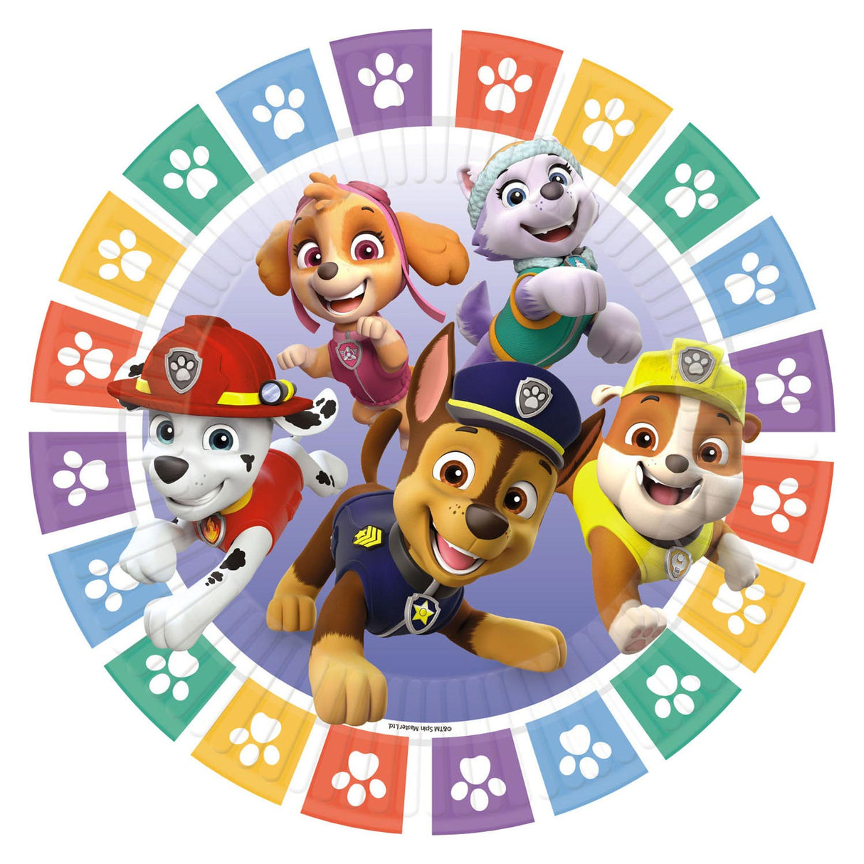 Haza Whitebeard Paw Patrol Teller, 8 Stk.