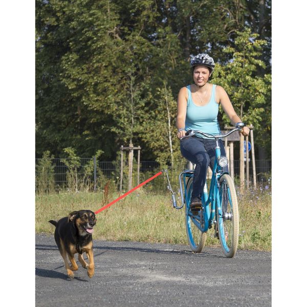 Springer-Hunde-Fahrradhalterung aus Messing