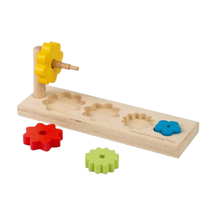 Bigjigs Blumensortierer, 5 Stk.