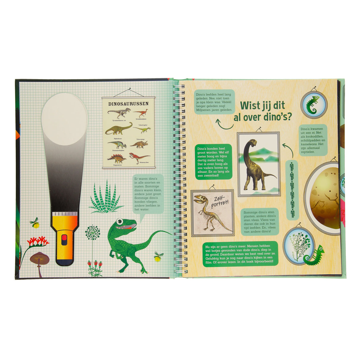 Den Dino-Wald erkunden + Taschenlampe aus Pappe