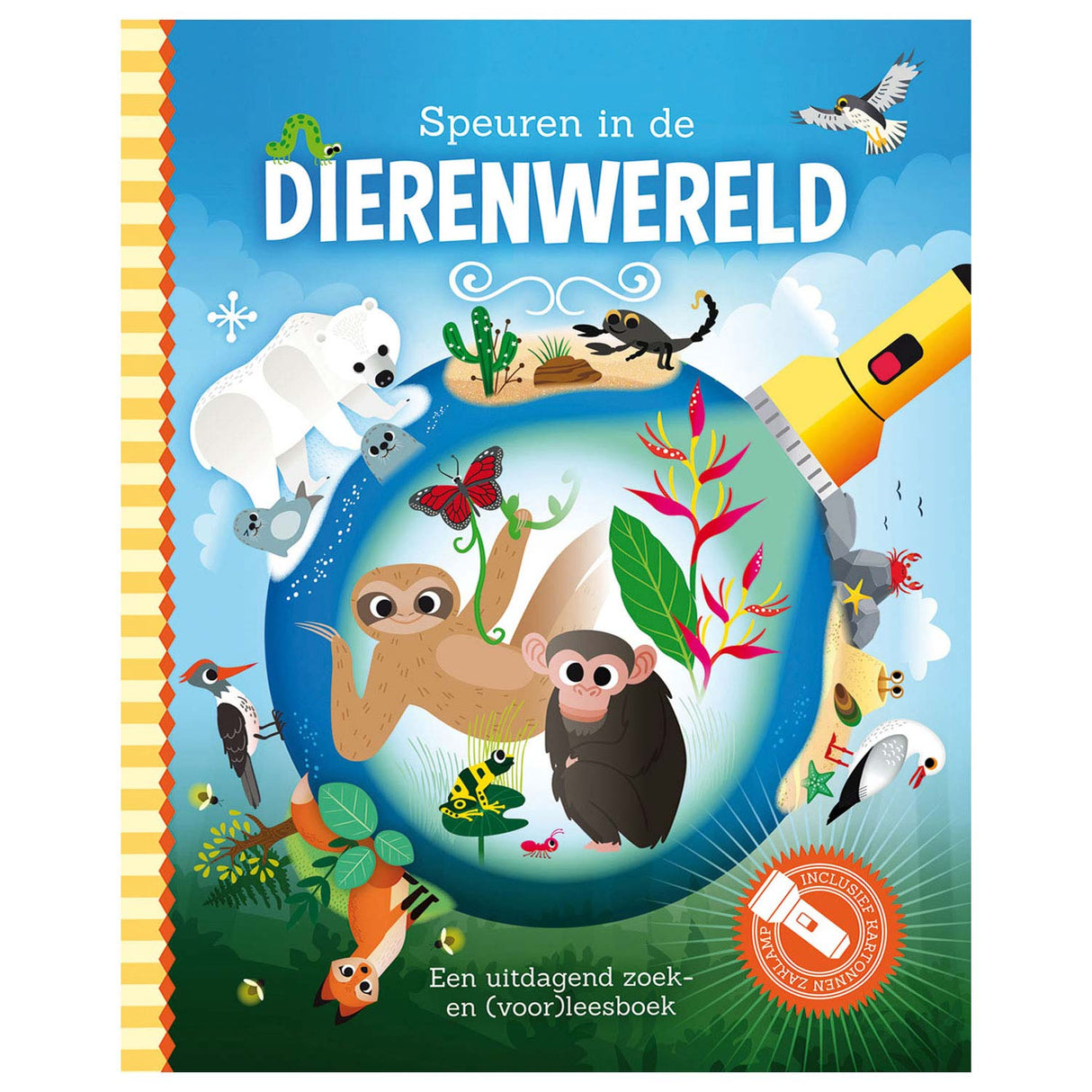 Die Tierwelt erkunden + Taschenlampe aus Pappe