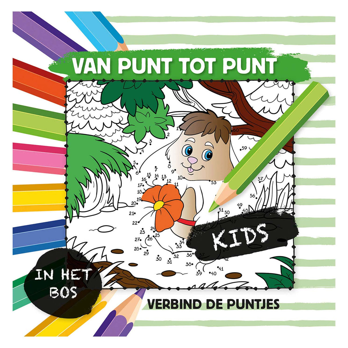 Von Punkt zu Punkt im Wald