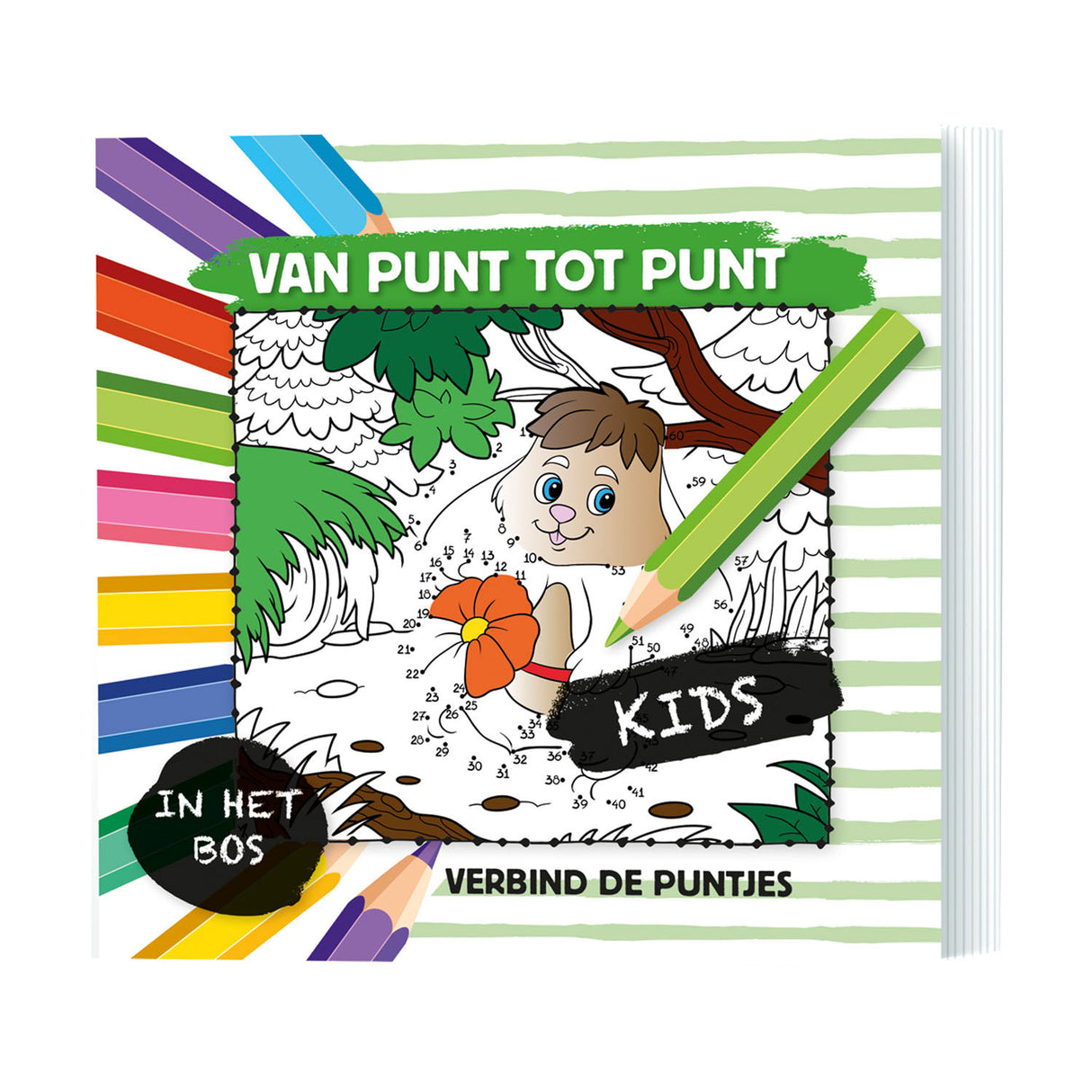 Von Punkt zu Punkt im Wald