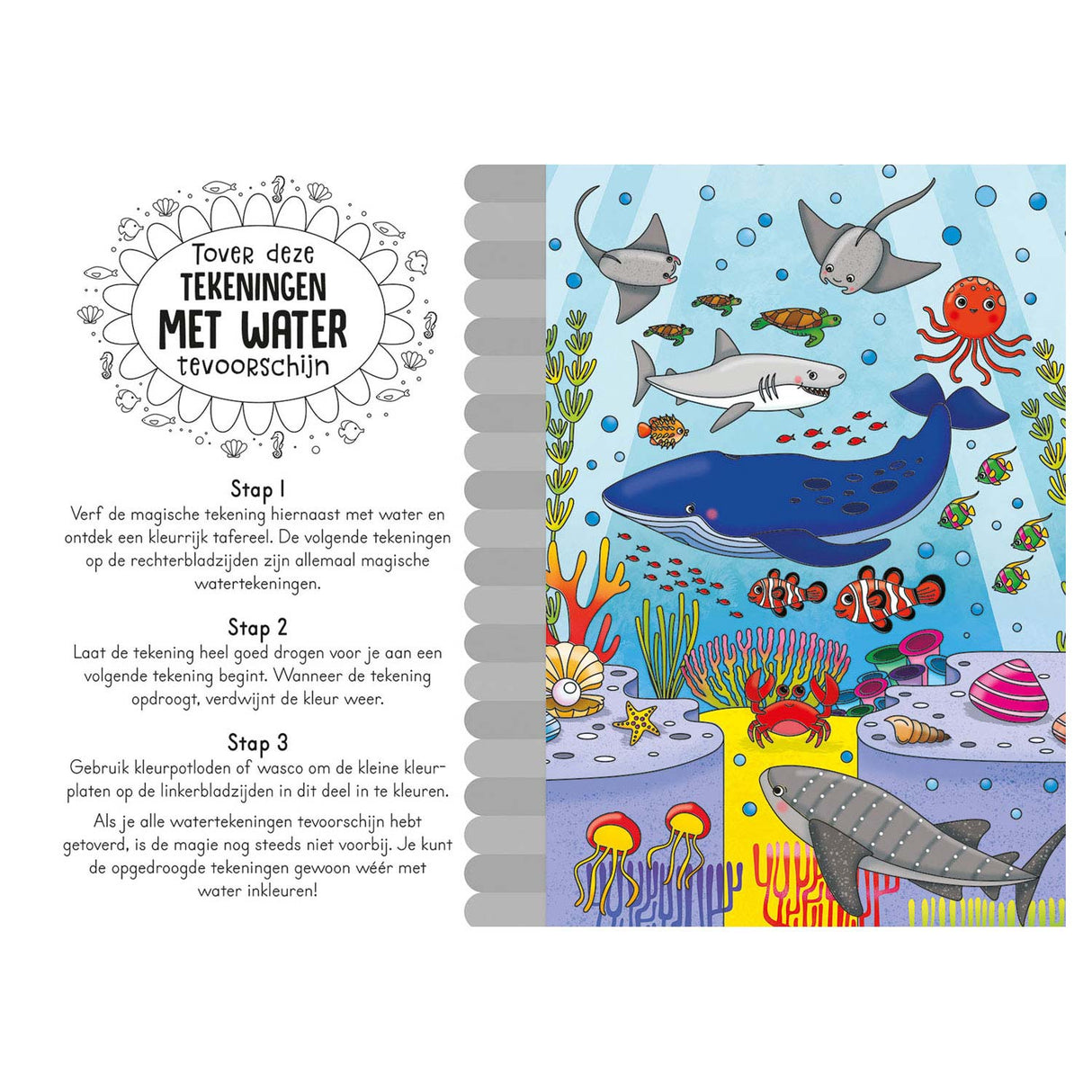 Magisches Wassermalbuch Im Meer