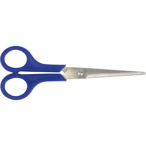 Schere Edelstahlzyklus 20 cm