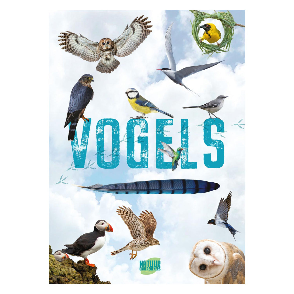 Vögel des Rebo-Verlags – Führer und Naturtagebuch für Kinder