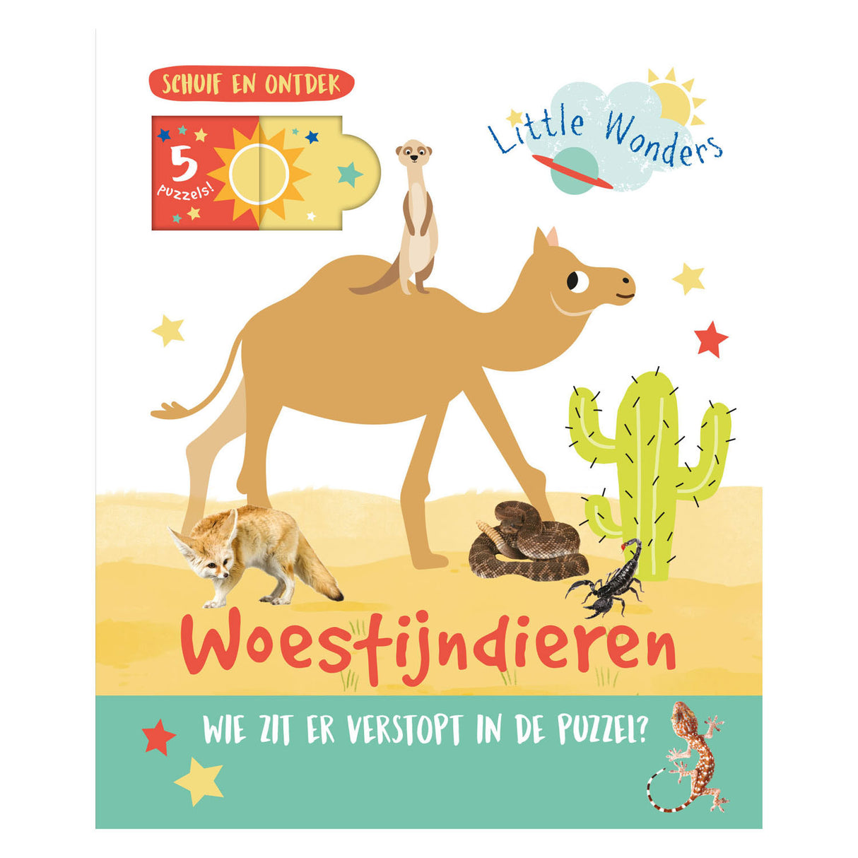 Wüstentiere des Rebo-Verlags rutschen und entdecken
