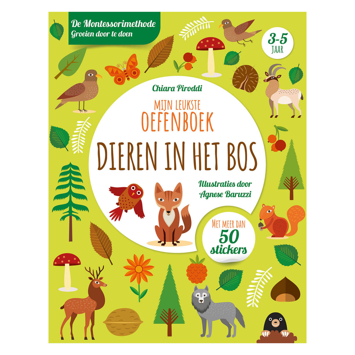 Rebo-Verlag Tiere im Wald – meine schönste Übungsbox