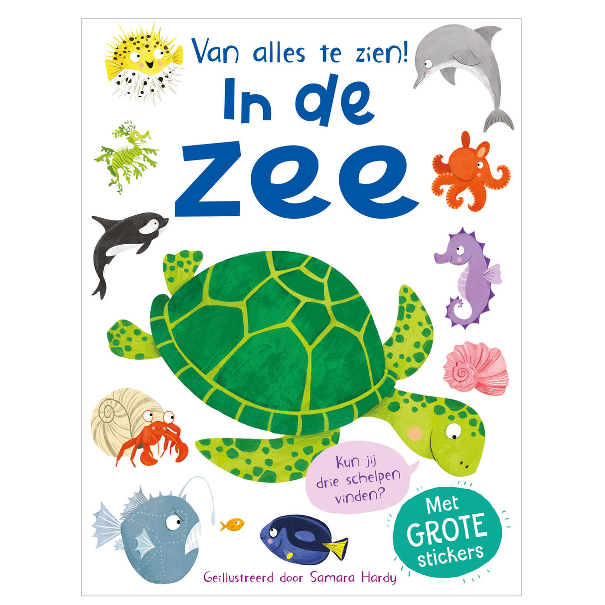 Rebo-Verlage im Meer – viel zu sehen!