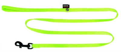 Martin Hundeleine Nylon grün