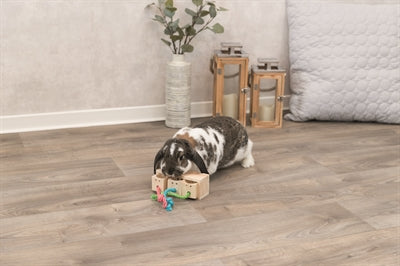Trixie Snackwürfel Holz