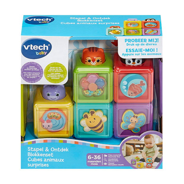 Vtech-Stack- und Discover-Block-Set