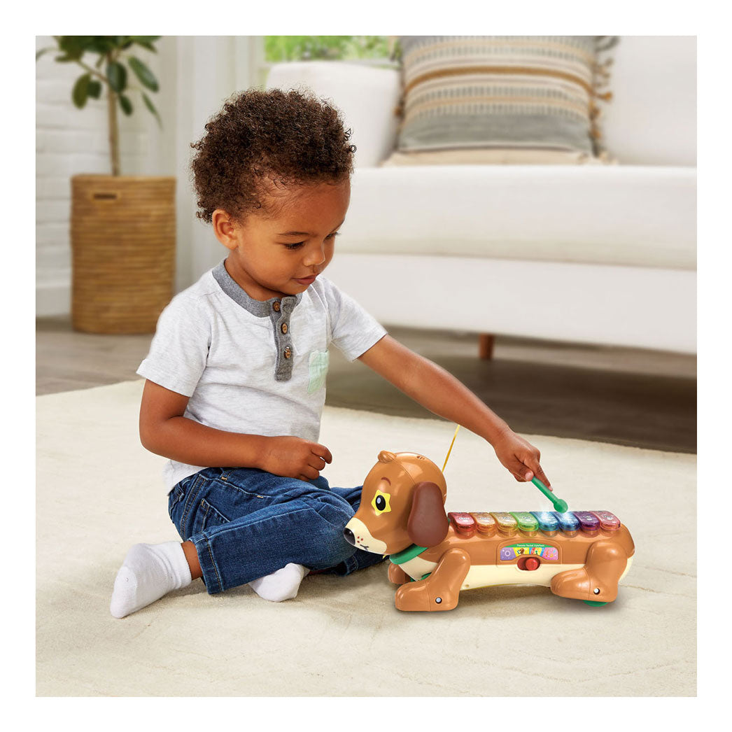 Vtech Timmie Dackel Xylophon mit Licht und Ton