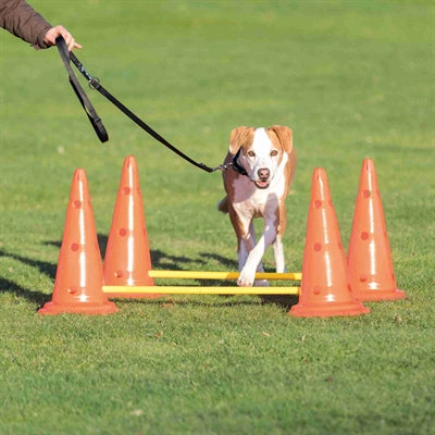 Trixie-Hürdenset für Hundeaktivitäten
