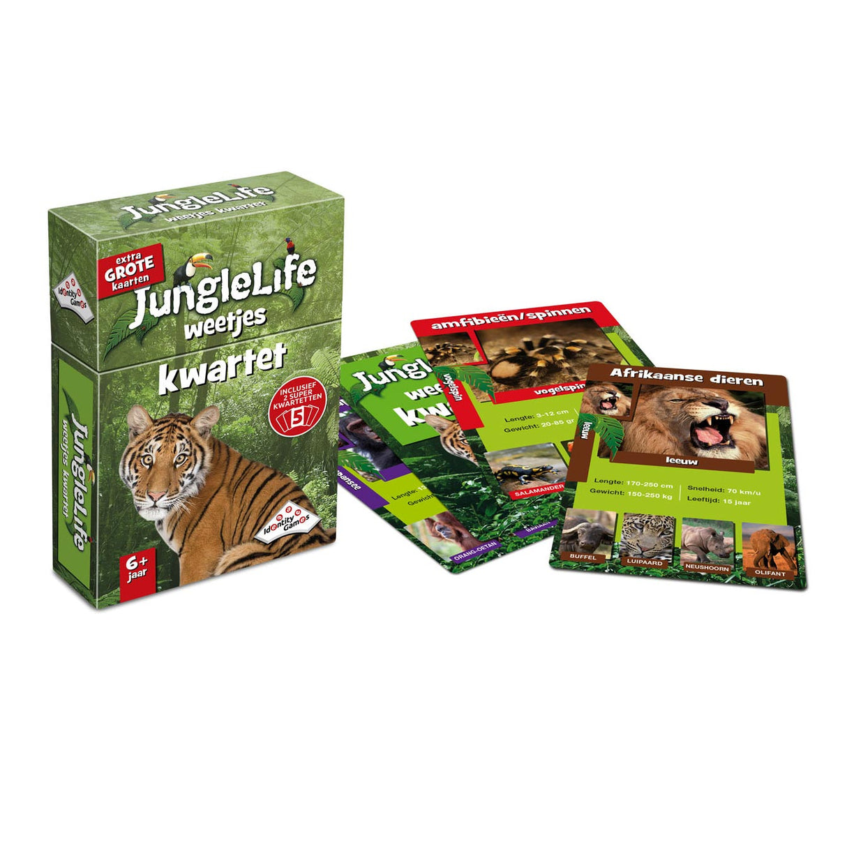 Identitätsspiele Junglelife Facts Quartett