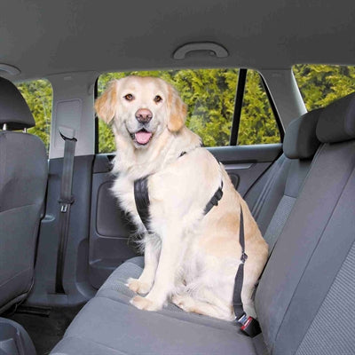 Trixie Hundegeschirr Auto inklusive Gurt schwarz