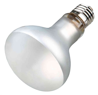 Trixie UVB-Lampe 70 Watt – Reptilienlampe E27-Fassung – 8 x 10,8 cm, UVB-UVA-Wärmestrahlung