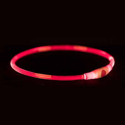 Trixie Leuchthalsband USB-Blitzlicht wiederaufladbar TPU rot