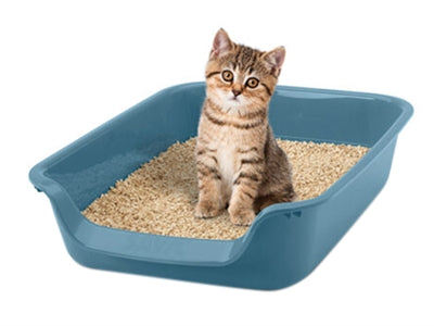 Savic Junior Katzentoilette blau