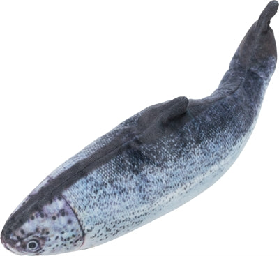 Trixie bespritzt Fische mit Stoffkatzenminze