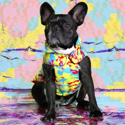 Croci Hundemantel Fake News Gelb Blau Fuchsia