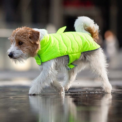 Croci Hundemantel gepolstert, Öko-Blätter, recycelt, Gelb