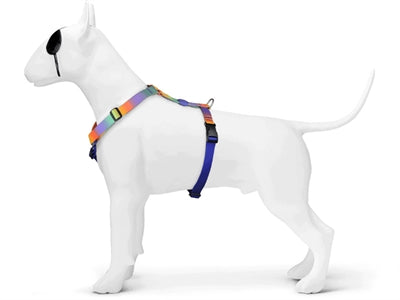 Morso Hundegeschirr H-Geschirr recycelte Frühlingsblüte