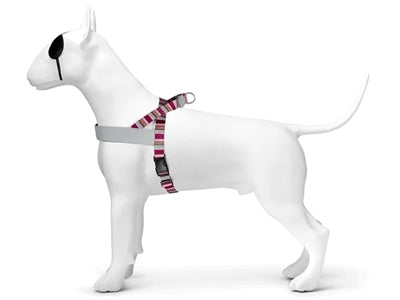 Morso norwegisches Hundegeschirr, recyceltes Skyline-Rot-Rosa