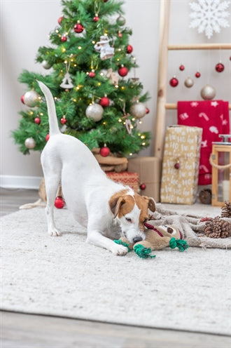 Trixie Weihnachts-Faultier-Plüsch-Zahnseide-Seil