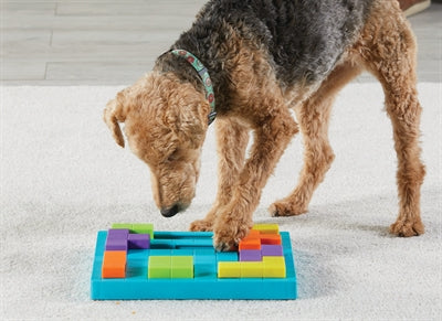Brightkins-Bark-Gehirnspiel-Leckerli-Puzzle
