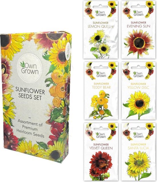 OwnGrown OwnGrown Sonnenblumenkerne-Set, 6 verschiedene Sonnenblumenarten. Für drinnen, Garten und Balkon. Umweltfreundliche Verpackung