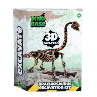Dino-Basis | 3 Stück