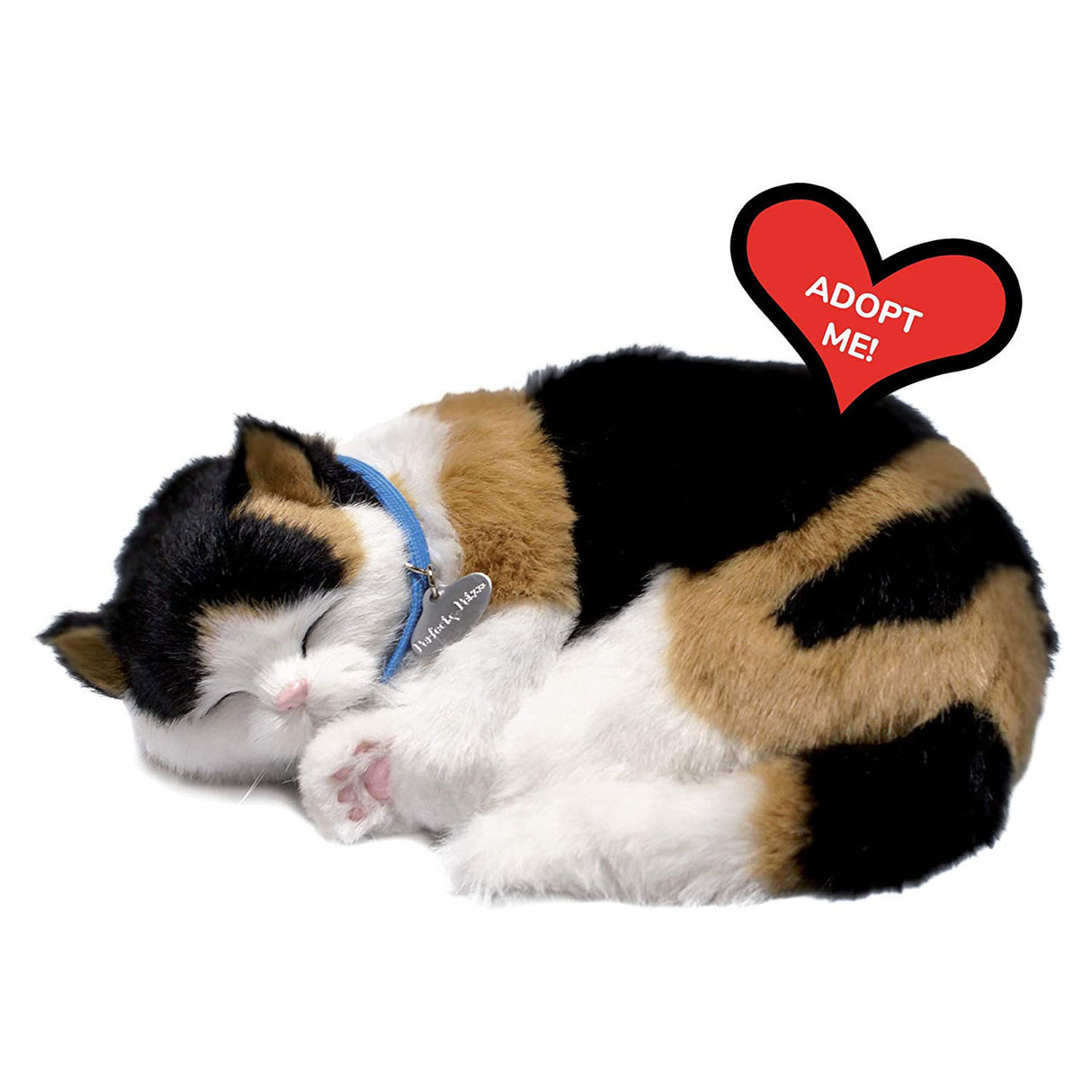 Perfekte Petzzz, perfekte Petzzz, weiche Kattunkatze