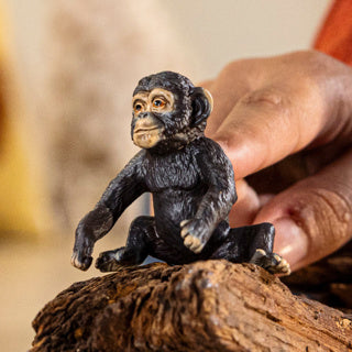 Schleich | 5 Stück