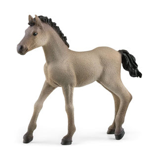 Schleich 13949 Criollo definitivo Fohlen | 5 Stück