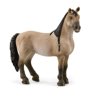 Schleich 13948 Criollo definitivo Stute | 5 Stück