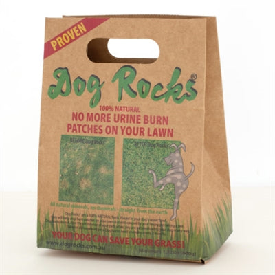 Hund rockt