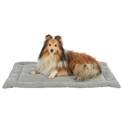 Trixie Ligmat Jonna Rib Velvet Grau