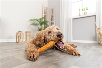 Trixie Denta Fun-Rolle aus Kollagen mit Hühnchen