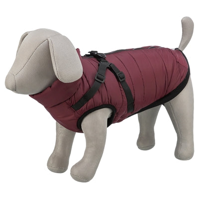 Trixie Hundemantel Pirou mit Sangria-Geschirr