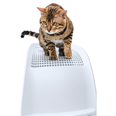 Imac Katzentoilette Frida mit Schublade blau