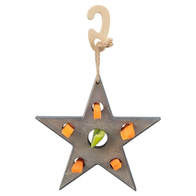 Trixie Weihnachtsspiel- und Snackstern grau