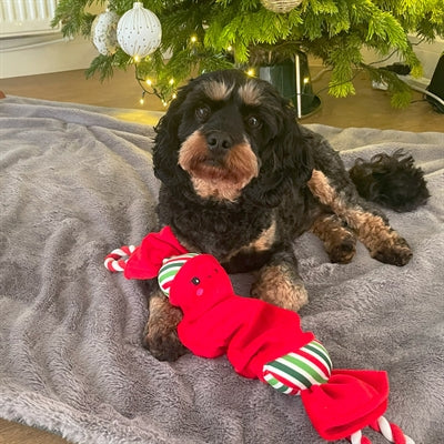 Happy Pet Top n Tail Ropee Weihnachtsknacker rot