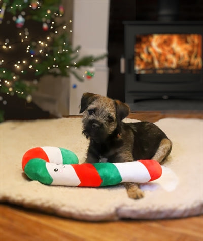 Amor-Komet Carrie Zuckerstange Weihnachtsstab-Plüsch