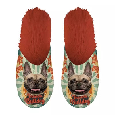 Slipper Französische Bulldogge Französische Bulldogge Orange