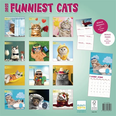 Kalender lustigste Katzen 2025
