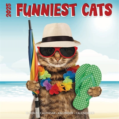 Kalender lustigste Katzen 2025