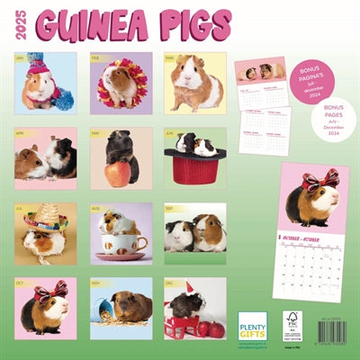 Kalender Meerschweinchen Studio 2025