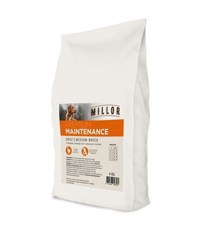 Millor extrudierter Erwachsenen-Wartungsschuh, mittelbreit