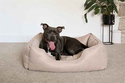 Rosewood 40 Winks Hundebett, dünner Twill, Beige